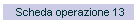 Scheda operazione 13